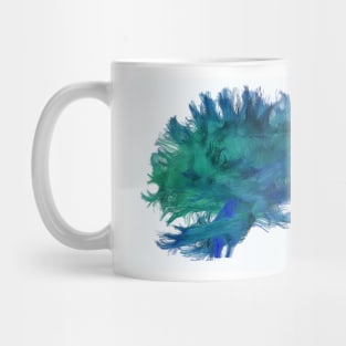 White matter fibres, DTI scan (C038/4656) Mug